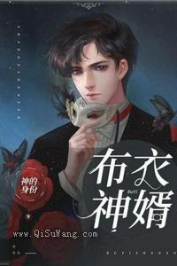 布衣神婿图片