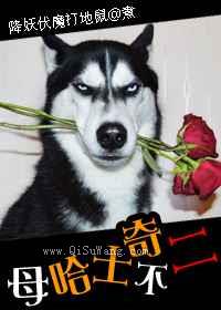 母哈士奇不二图片