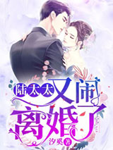陆太太又闹离婚了图片