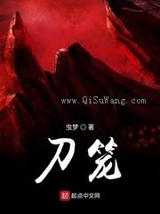 《刀笼》全本TXT下载-作者：虫梦