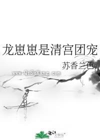 龙崽崽是清宫团宠图片