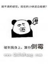 《不要乱碰瓷》全本TXT下载-作者：红刺北