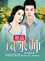 绝品风水师图片