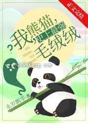我，熊猫，史上最强毛绒绒图片