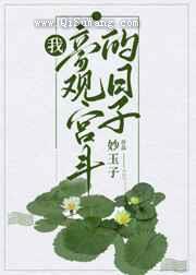 我旁观宫斗的日子图片
