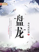 盘龙小说