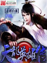 天龙英雄传图片