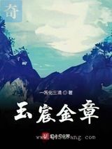 玉宸金章图片