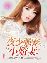 夜少强宠小娇妻图片