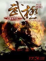 武极小说
