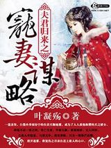 夫君归来之宠妻谋略图片