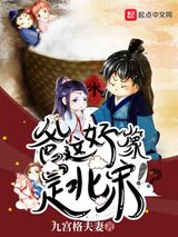 爸，这好像是北宋图片