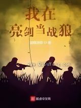 《我在亮剑当战狼》全本TXT下载-作者：寂寞剑客