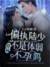 撩疯偏执陆少不是体弱不孕吗图片