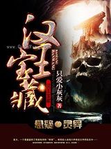 汉王宝藏图片