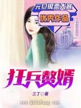 狂兵赘婿图片