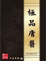 《极品唐医》全本TXT下载-作者：午夜冷风