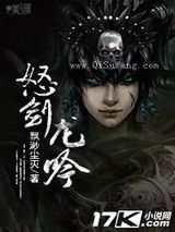 怒剑龙吟小说