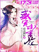 盛宠小蛮妃图片