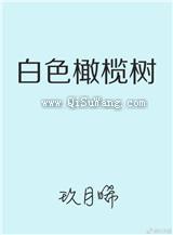 白色橄榄树图片
