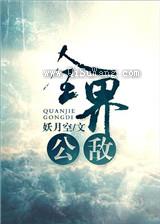全界公敌图片
