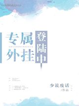 《专属外挂登录中》全本TXT下载-作者：少说废话