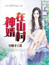 神婿在山村小说