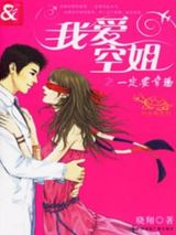 我爱空姐小说