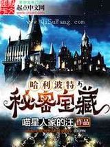 [HP]哈利波特与秘密宝藏图片