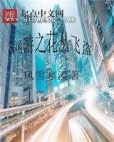 网游之花丛飞盗图片