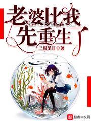 老婆比我先重生了小说