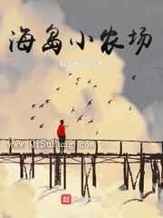 海岛小农场小说
