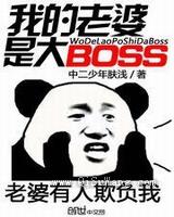 我的老婆是大BOSS图片
