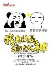 我真的是游戏大神图片