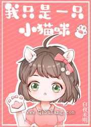 我只是一只小猫咪图片