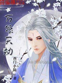 万象天劫小说