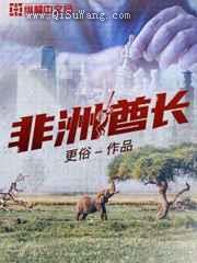 非洲酋长小说