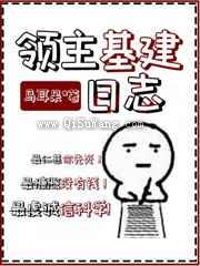 领主基建日志图片