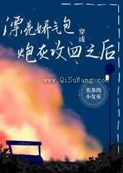 漂亮娇气包穿成炮灰攻四之后图片