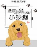 电竞小狼狗图片
