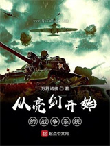 从亮剑开始的战争系统图片