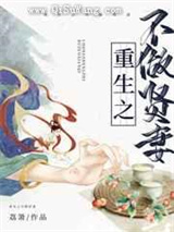 重生之不做贤妻图片