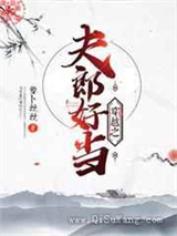 穿越之夫郎好当图片