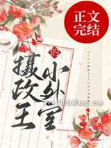 摄政王的小外室图片