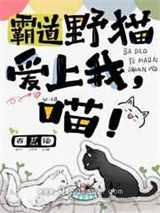 霸道野猫爱上我，喵！图片