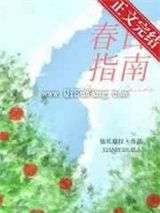 春日指南图片