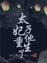 太子妃他重生了图片