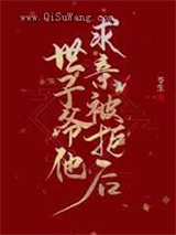 《世子爷他求亲被拒后》全本TXT下载-作者：苓生