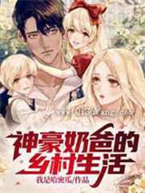 神豪奶爸的乡村生活小说