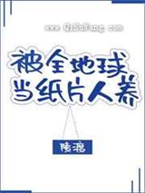 《被全地球当纸片人养》全本TXT下载-作者：陵渡